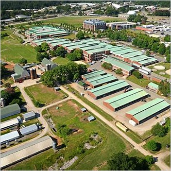 North Carolina State University College Of Veterinary Medicine Center For Comparative